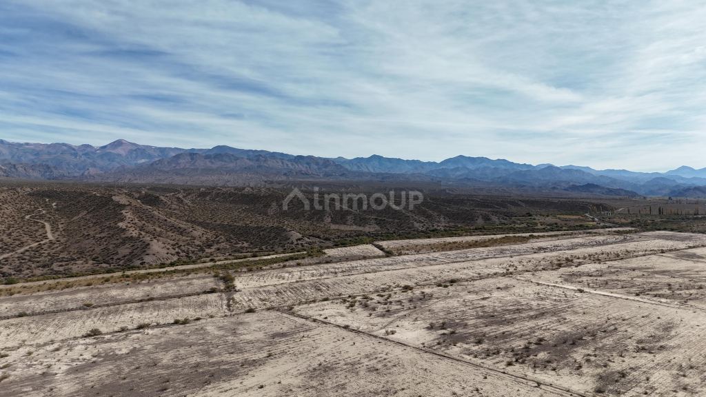 Campo en Venta en Calingasta, San Juan