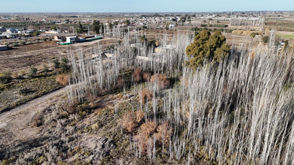 Lote en Venta en Maipu, Mendoza