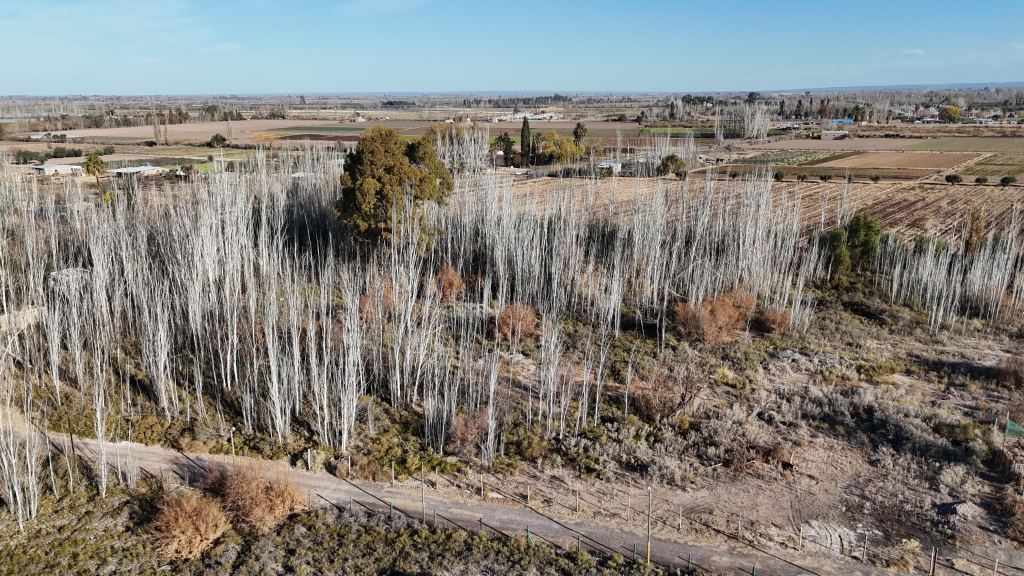 Lote en Venta en Maipu, Mendoza