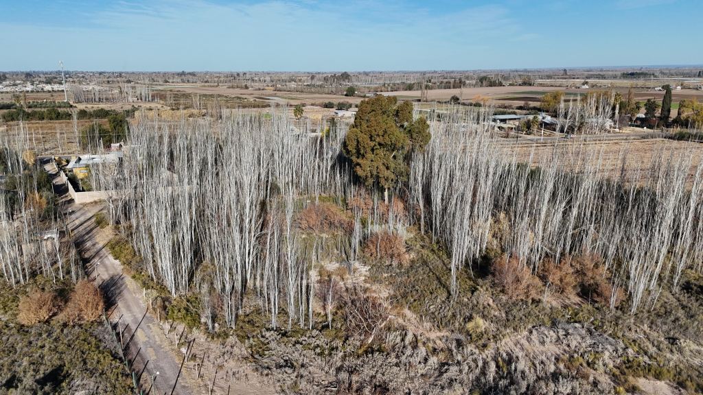 Lote en Venta en Maipu, Mendoza