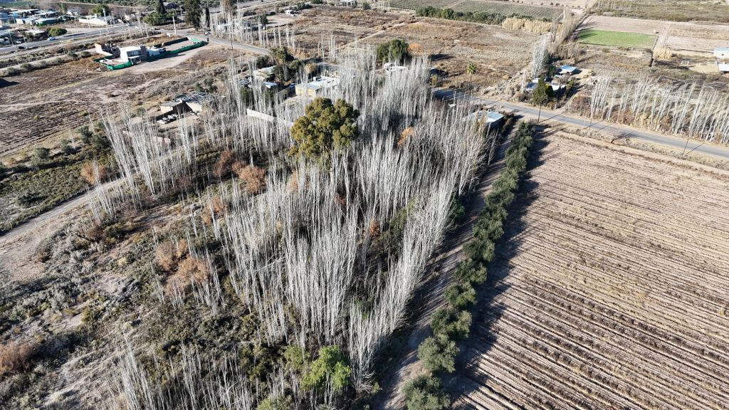 Lote en Venta en Maipu, Mendoza