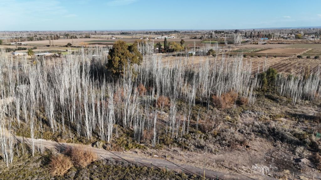 Lote en Venta en Maipu, Mendoza