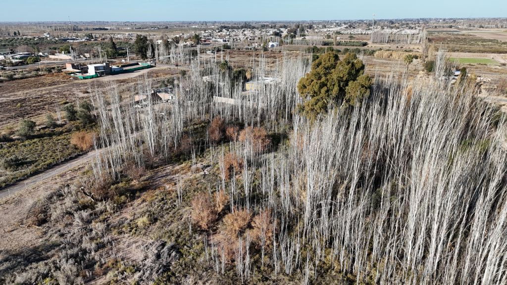 Lote en Venta en Maipu, Mendoza
