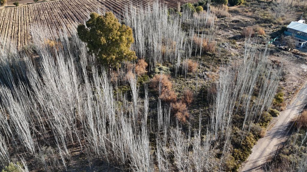 Lote en Venta en Maipu, Mendoza