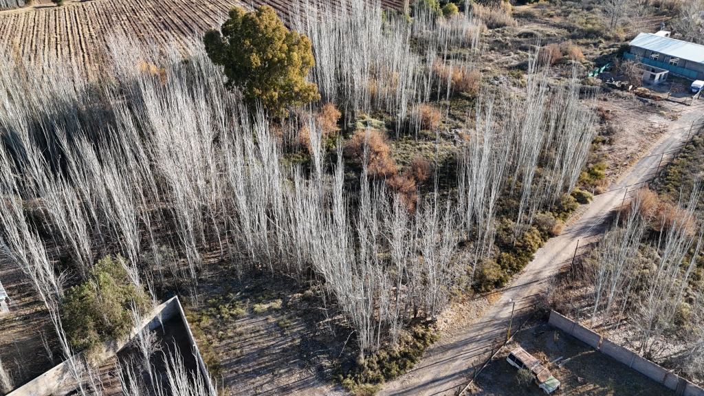 Lote en Venta en Maipu, Mendoza