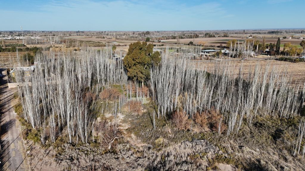 Lote en Venta en Maipu, Mendoza