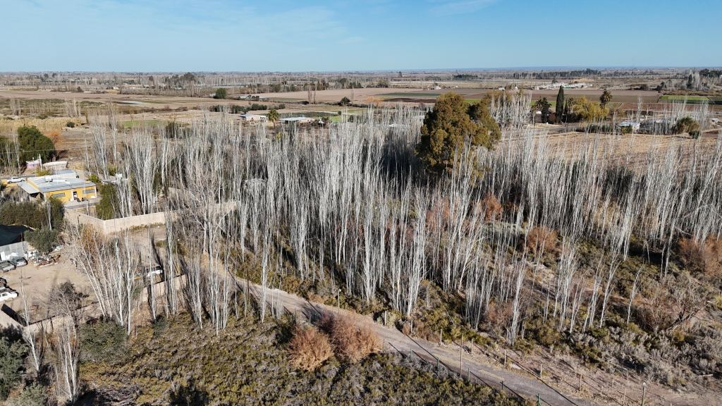 Lote en Venta en Maipu, Mendoza