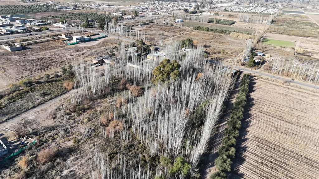 Lote en Venta en Maipu, Mendoza