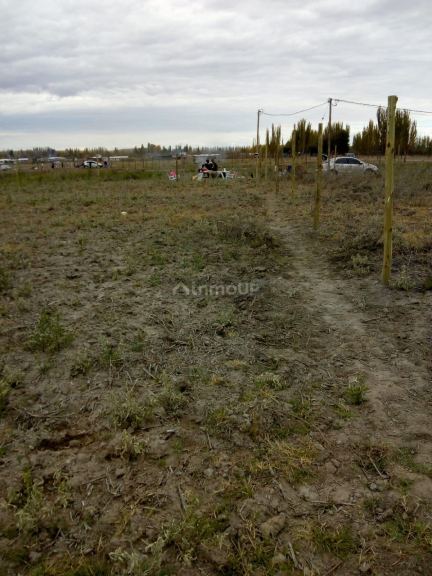 Lote en Venta en Lujan de Cuyo, Mendoza