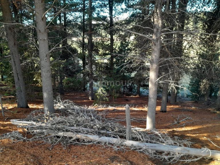 Terreno en Venta en Lacar, Neuquen