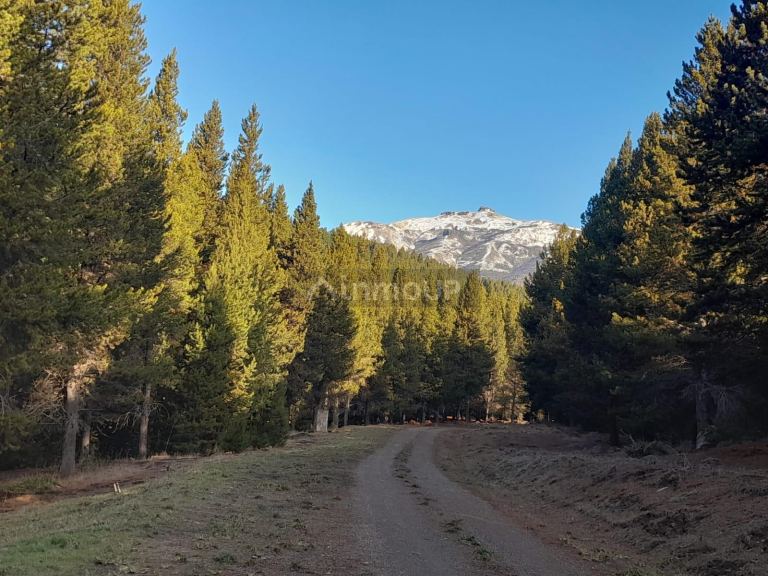 Terreno en Venta en Lacar, Neuquen