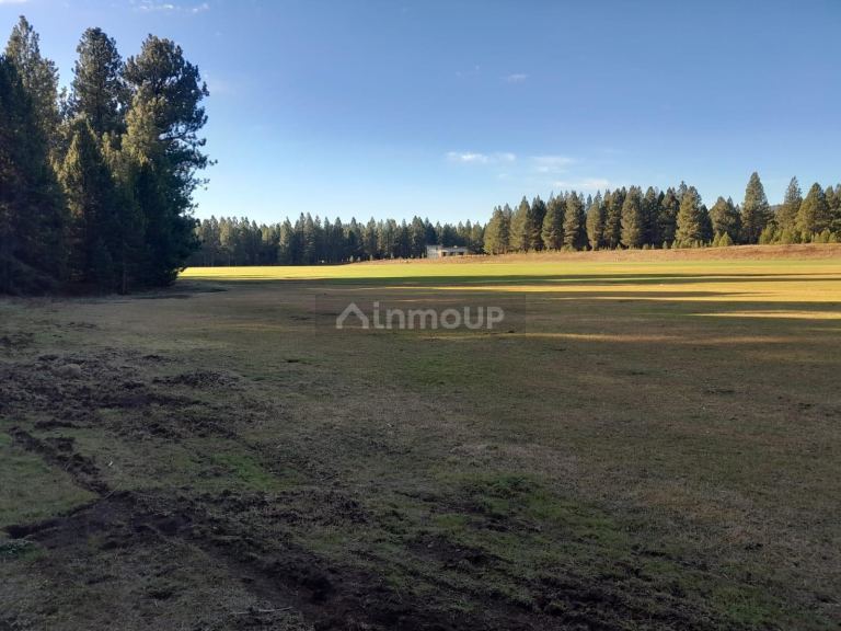 Terreno en Venta en Lacar, Neuquen