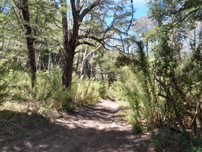 Terreno en Venta en Lacar, Neuquen