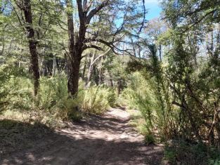 Lacar Lote en venta en barrio altos del Kaeluche - San Martin De Los Andes -