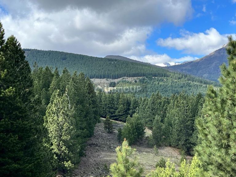 Terreno en Venta en Lacar, Neuquen