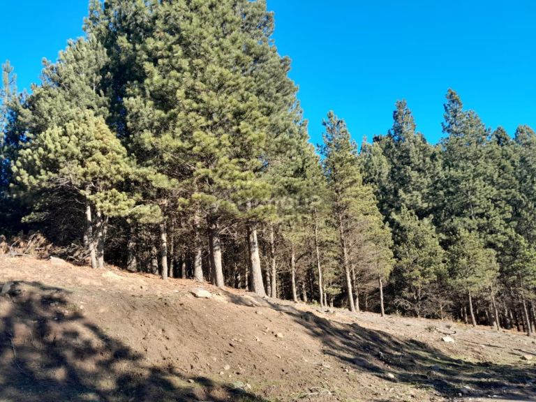 Terreno en Venta en Lacar, Neuquen