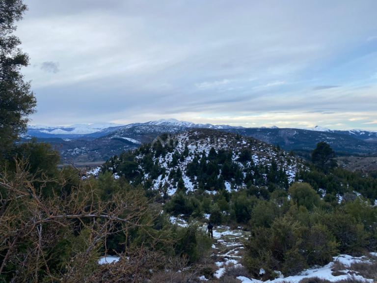 Terreno en Venta en Lacar, Neuquen