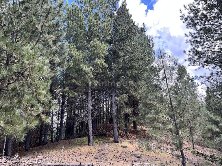 Terreno en Venta en Lacar, Neuquen