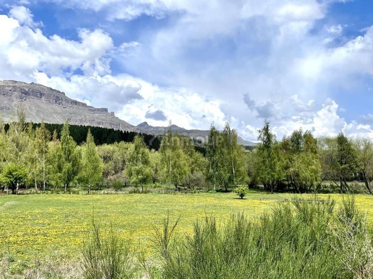 Terreno en Venta en Lacar, Neuquen