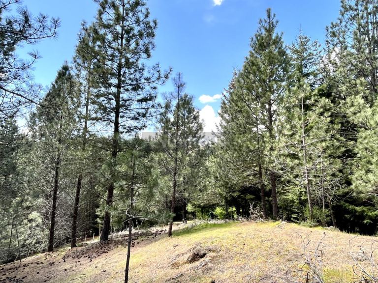 Terreno en Venta en Lacar, Neuquen