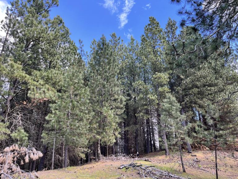 Terreno en Venta en Lacar, Neuquen
