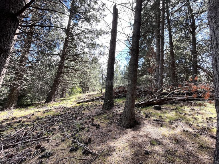 Terreno en Venta en Lacar, Neuquen
