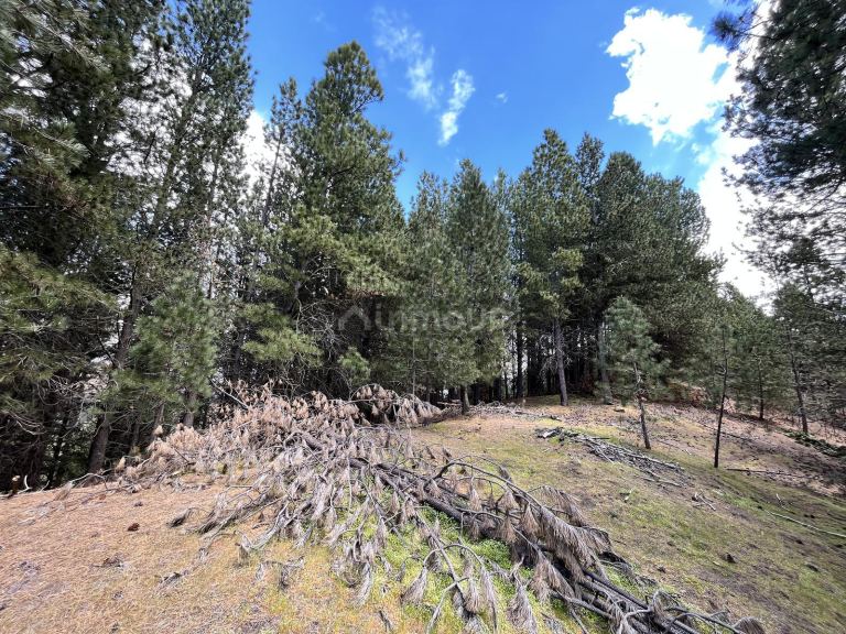 Terreno en Venta en Lacar, Neuquen
