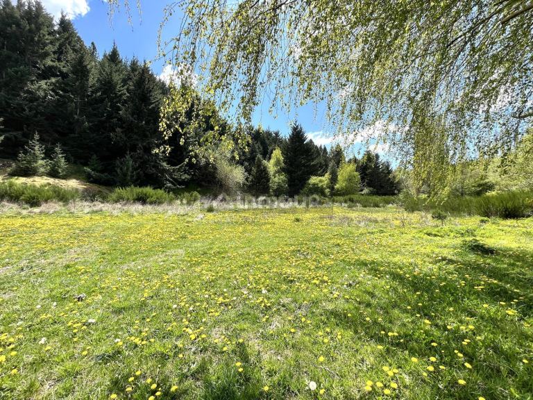 Terreno en Venta en Lacar, Neuquen