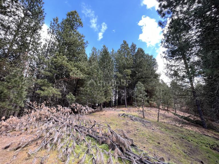 Terreno en Venta en Lacar, Neuquen