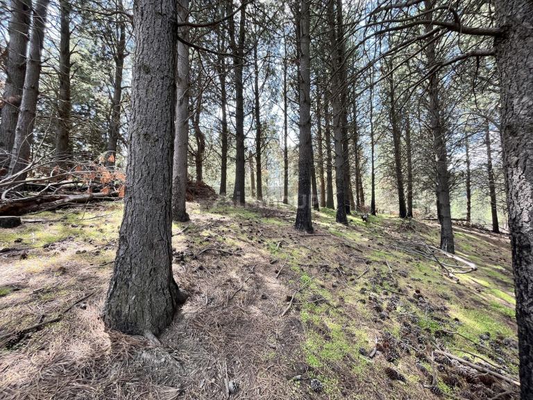 Terreno en Venta en Lacar, Neuquen