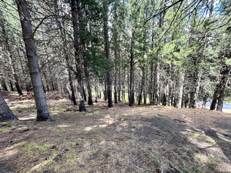Terreno en Venta en Lacar, Neuquen