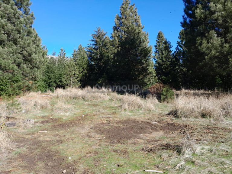 Terreno en Venta en Lacar, Neuquen