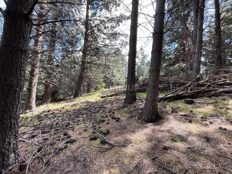Terreno en Venta en Lacar, Neuquen