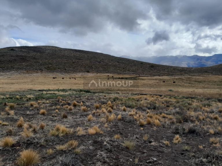 Campo en Venta en Pilcaniyeu, Rio Negro