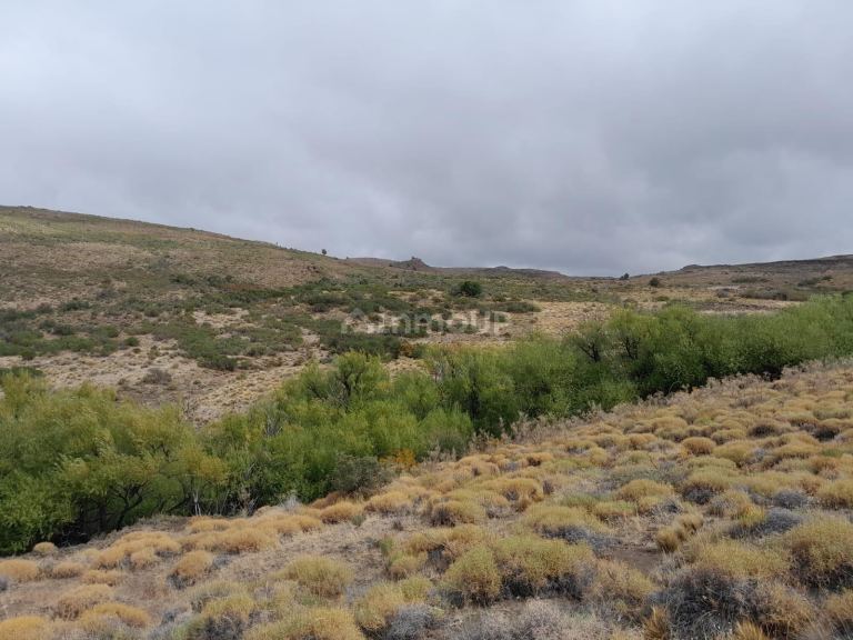 Campo en Venta en Pilcaniyeu, Rio Negro