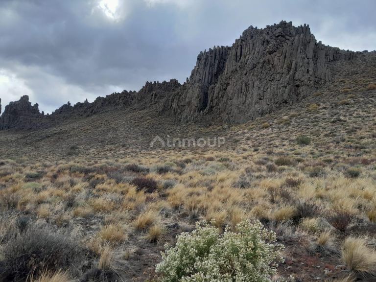 Campo en Venta en Pilcaniyeu, Rio Negro