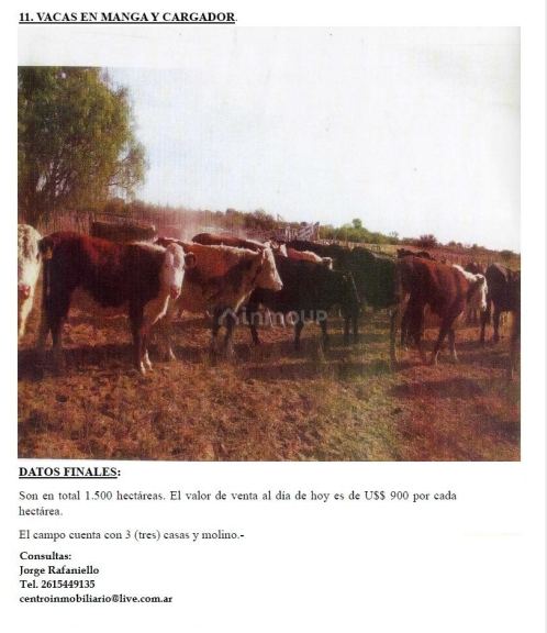 Campo en Venta en Ayacucho, San Luis