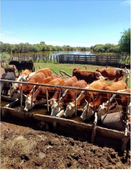 Campo en Venta en Ayacucho, San Luis
