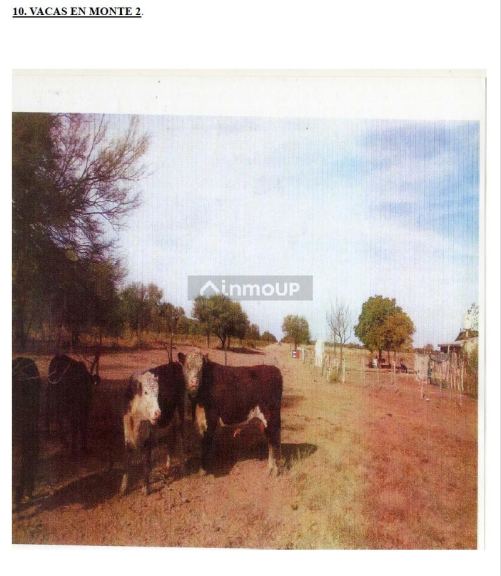Campo en Venta en Ayacucho, San Luis