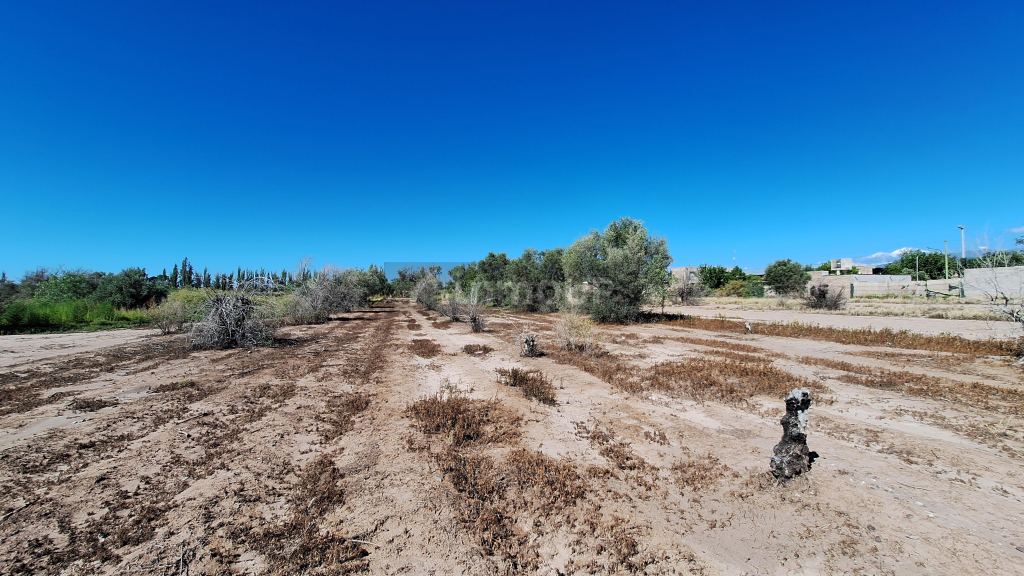 Terreno en Venta en Maipu, Mendoza