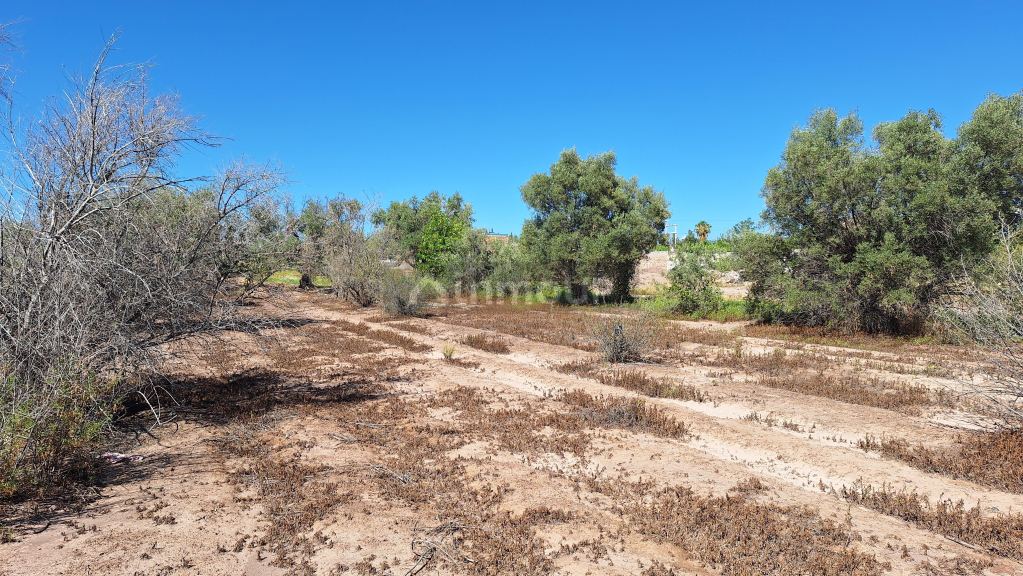 Terreno en Venta en Maipu, Mendoza