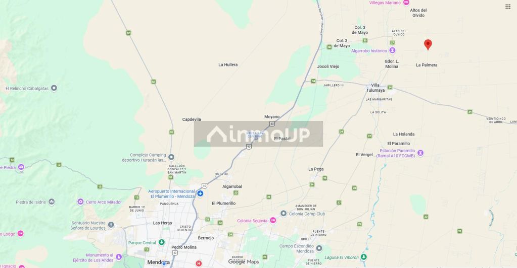 Finca en Venta en Lavalle, Mendoza
