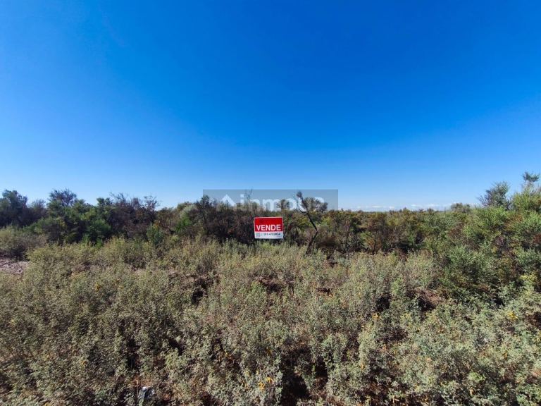 Finca en Venta en Lavalle, Mendoza