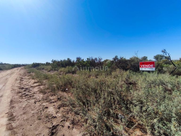 Finca en Venta en Lavalle, Mendoza