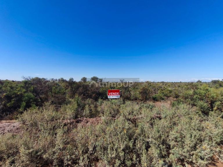 Finca en Venta en Lavalle, Mendoza
