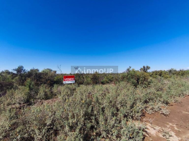 Finca en Venta en Lavalle, Mendoza
