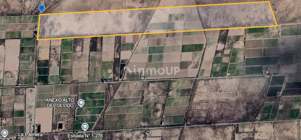 Finca en Venta en Lavalle, Mendoza