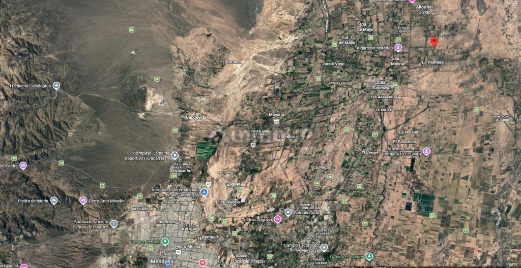 Finca en Venta en Lavalle, Mendoza