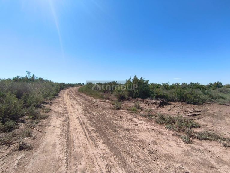 Finca en Venta en Lavalle, Mendoza