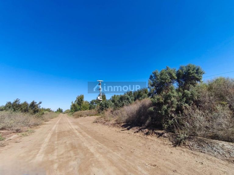 Finca en Venta en Lavalle, Mendoza